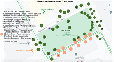 Franklin Sqaure Park Tree Walk