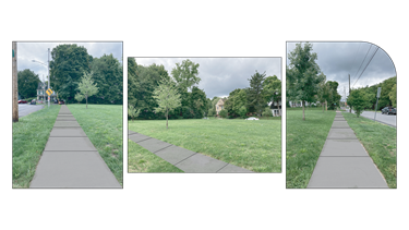 Danforth Park Sidewalk Rendering