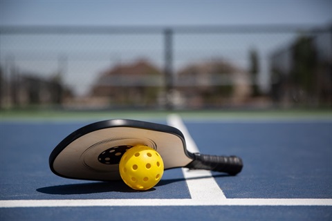 Pickleball paddle and ball