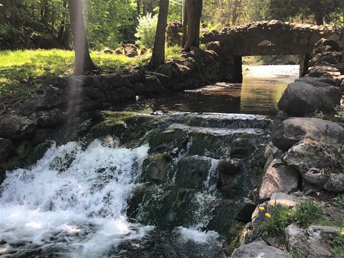 Waterfall and bridge