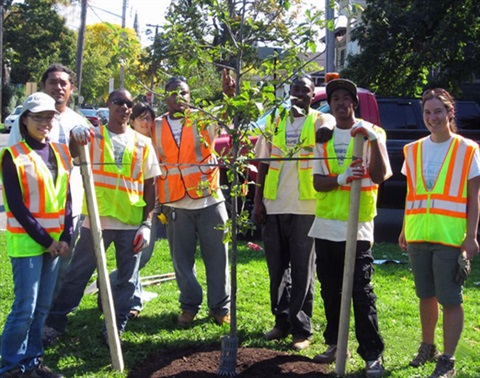 8 individuals standing around a newly planted trees