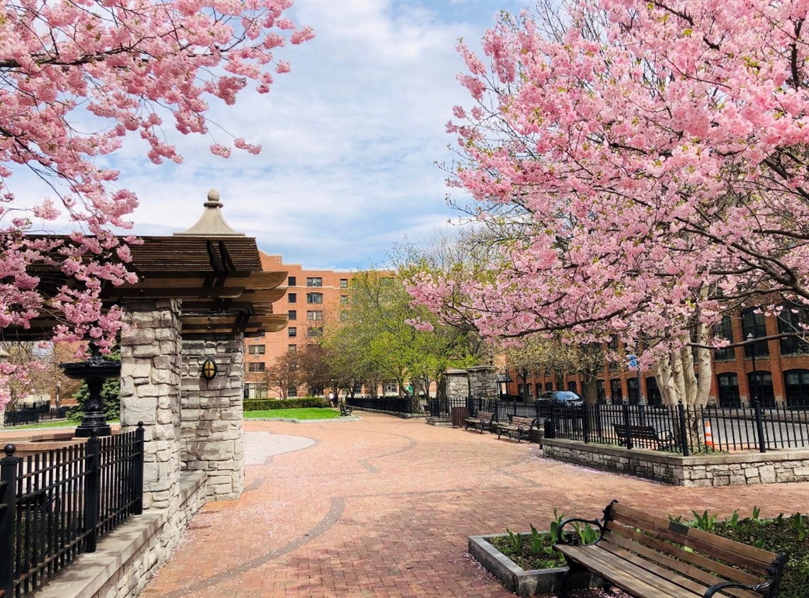 Franklin Square Park Image
